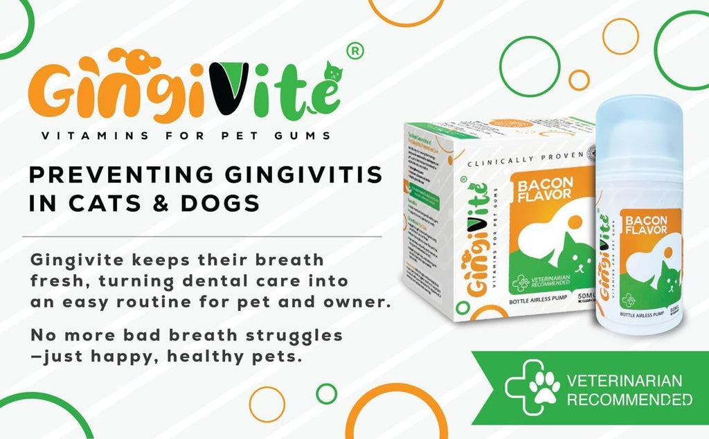 Dog Gingivitis Treatment, Stomatitis Treatment for Cats, Pet Gum Disease Treatment, Bad Breath Treatment, Oral Health for Teeth, Gums, Mouth and Tartar