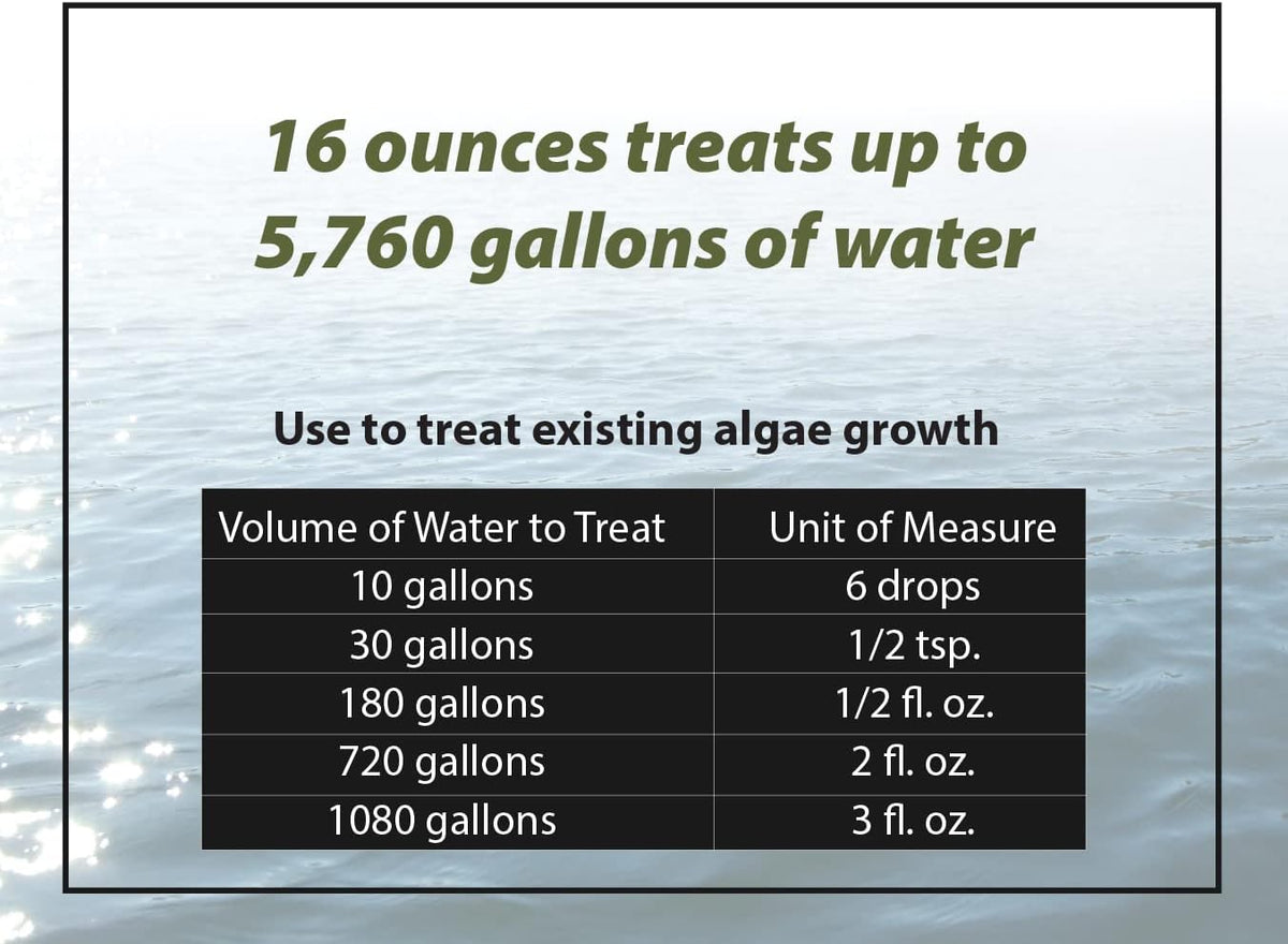 Bloom Buster Pond Algae Control - 16oz - Fast Acting Algaecide, Use in Fountains & Outdoor Ponds Containing Koi & Other Fish - EPA Registered