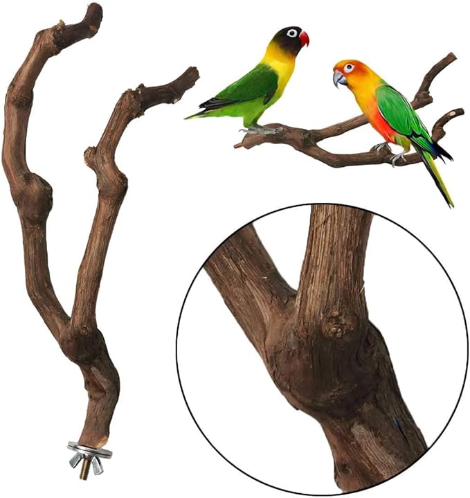 PINVNBY Natural Parrot Perch Bird Stand Pole Wild Grape Stick Paw Grinding Fork - Image 5