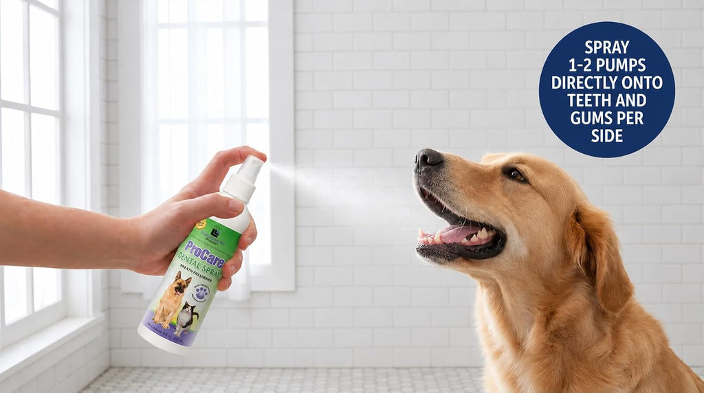 DORCYA Golden Retriever Dental Care Kit for Large Breeds 10 Dog Toothbrushes 10 Dog Finger Brushes 1 Breath Freshener Spray 1 Bonus Toy