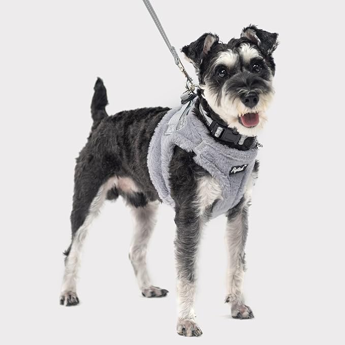 PUPTECK Adjustable Dog Harness Collar and Leash Set Step in No Pull Pet Harness - Image 6