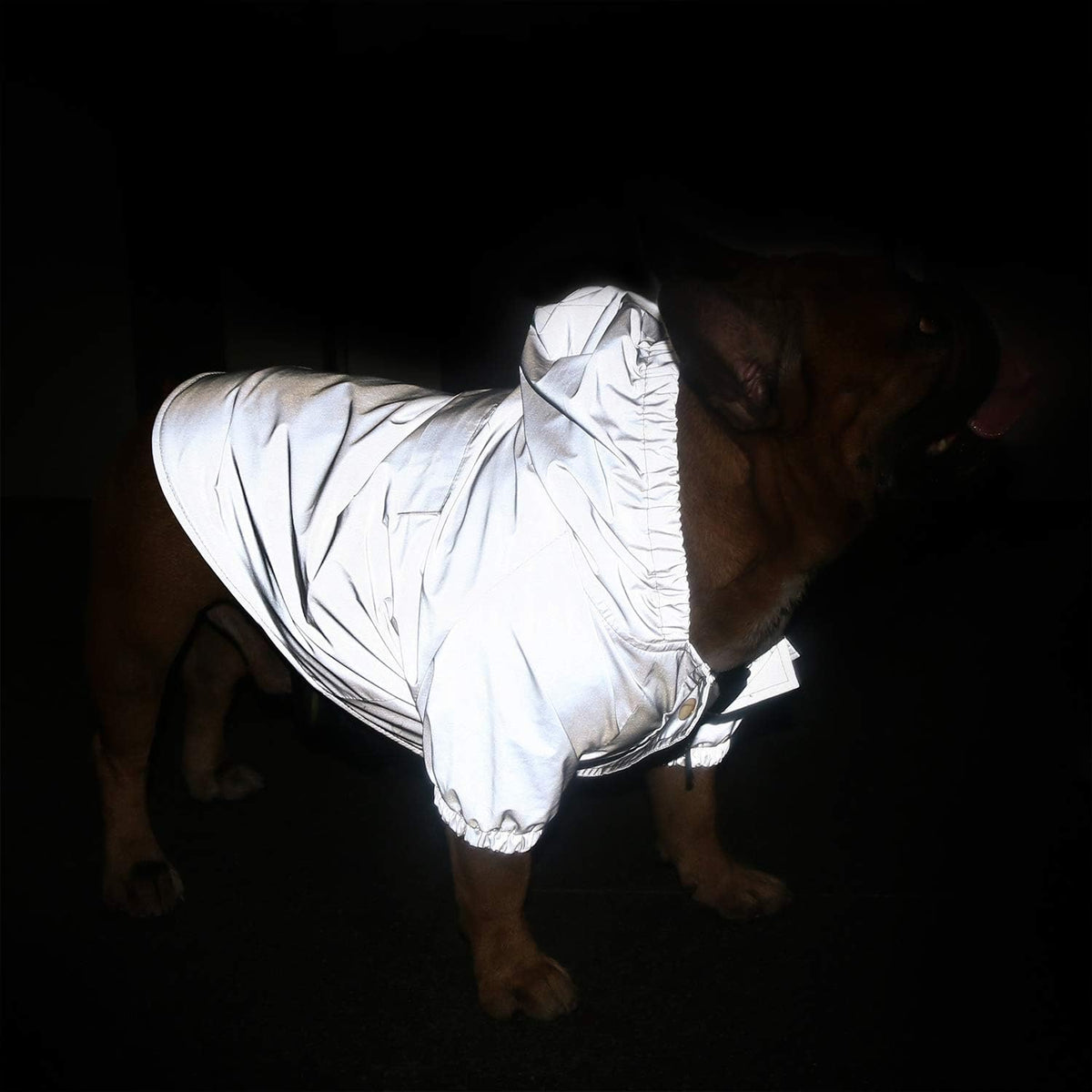 iChoue Dog Cold Weather Coats Reflective Safety Jackets Water Resistant Raincoats All Made Up of High Reflection Fabric Keep Dogs Visible for French English Bulldog Bully Pitbull - Silvery, Small