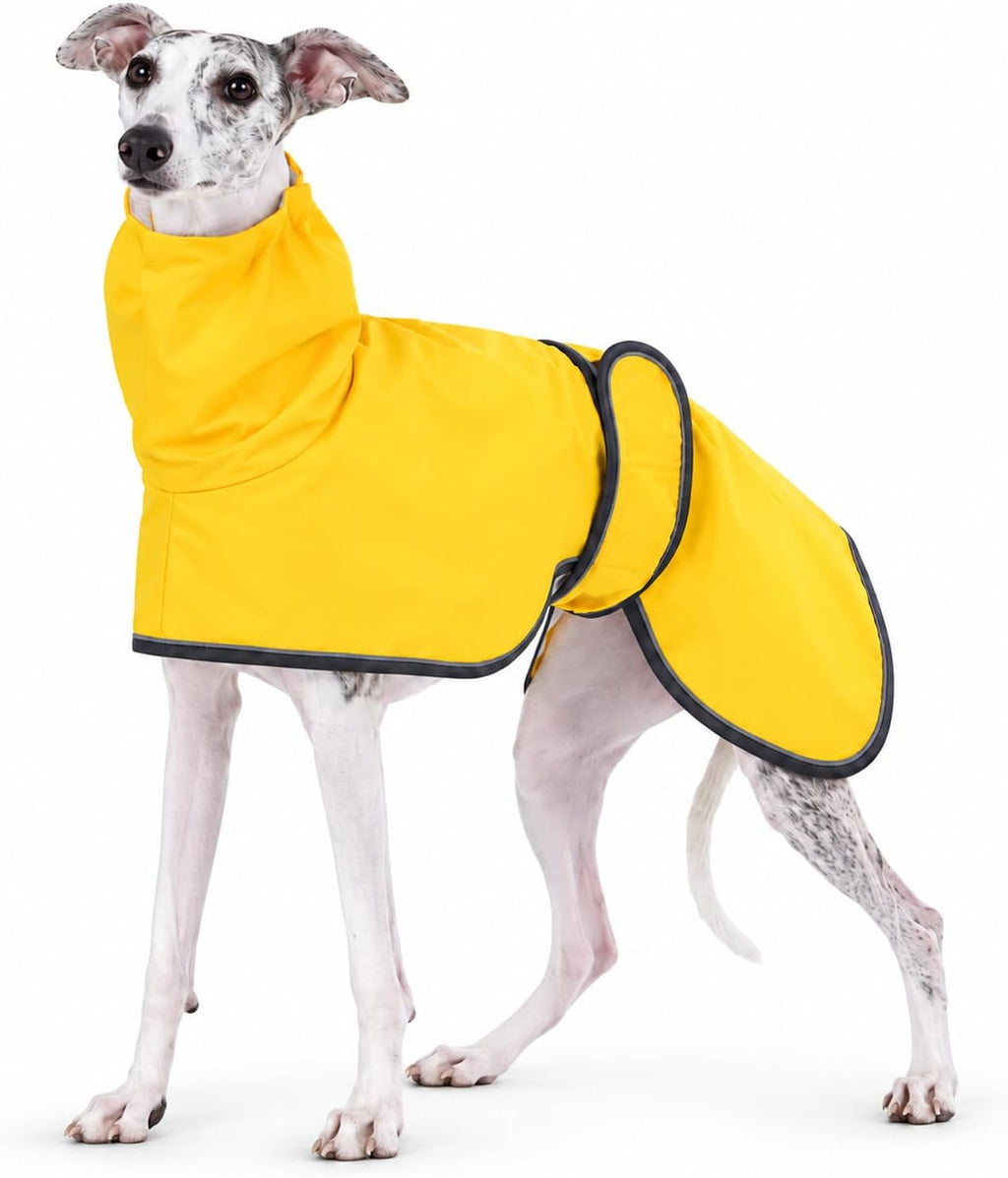 Greyhound Whippet Raincoat Waterproof with Reflective Stripe high Neck fit for Italian Greyhounds Whippets Long Back Breeds - Purple - XL