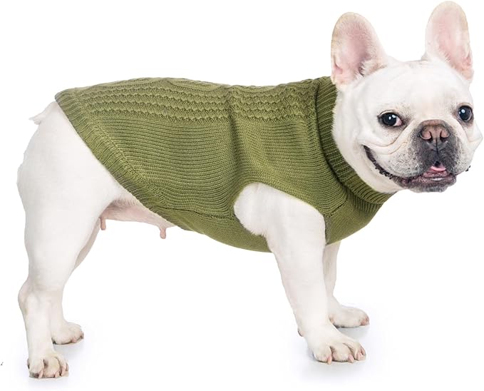 Stretchy Cat Sweater by Jnancun