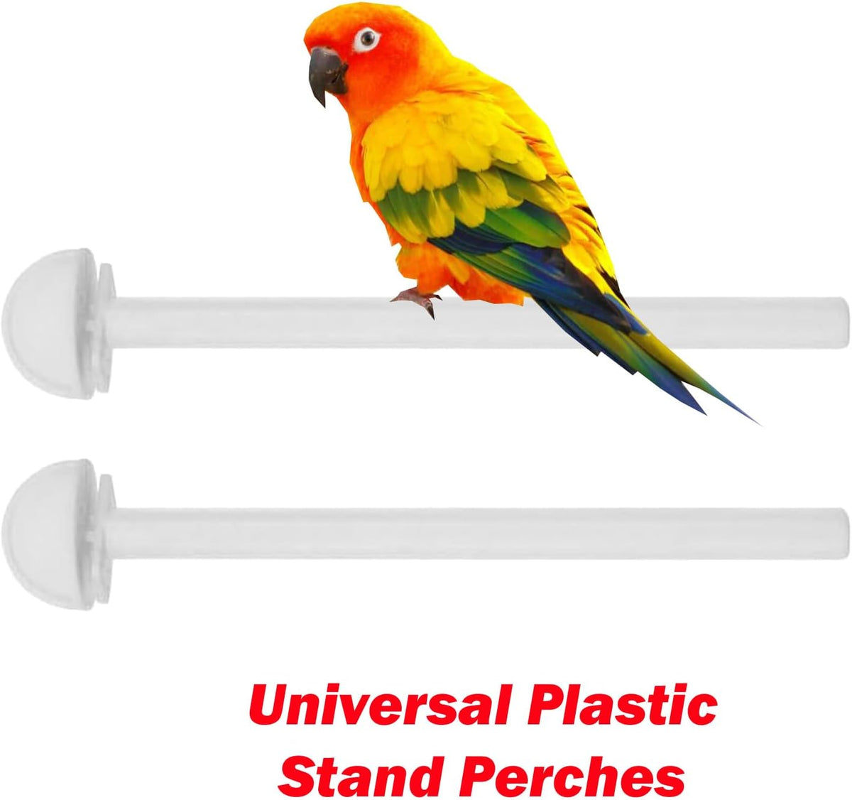 Versatile Portable Hanger Flight Bird Small Parrot Home House Travel Carrier Handle Cage for Cockatiels Parakeets Aviary Green Cheek Conures Finches Canary Budgies Lovebirds