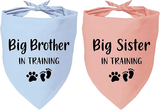 2 Pack Dog Bandana Pregnancy Announcement, Big Brother Sister in Training by YROVWENQ