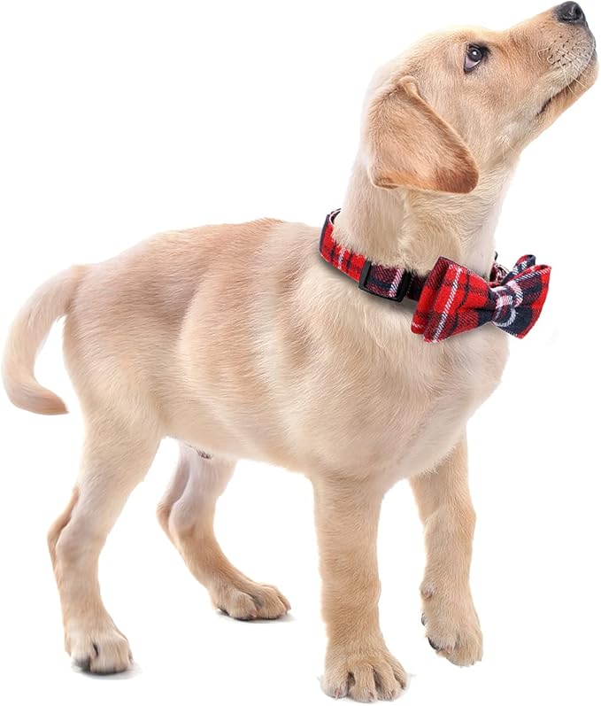 Faleela Soft &Comfy Christmas Bowtie Dog Collar, Detachable and Adjustable Bow - Image 6
