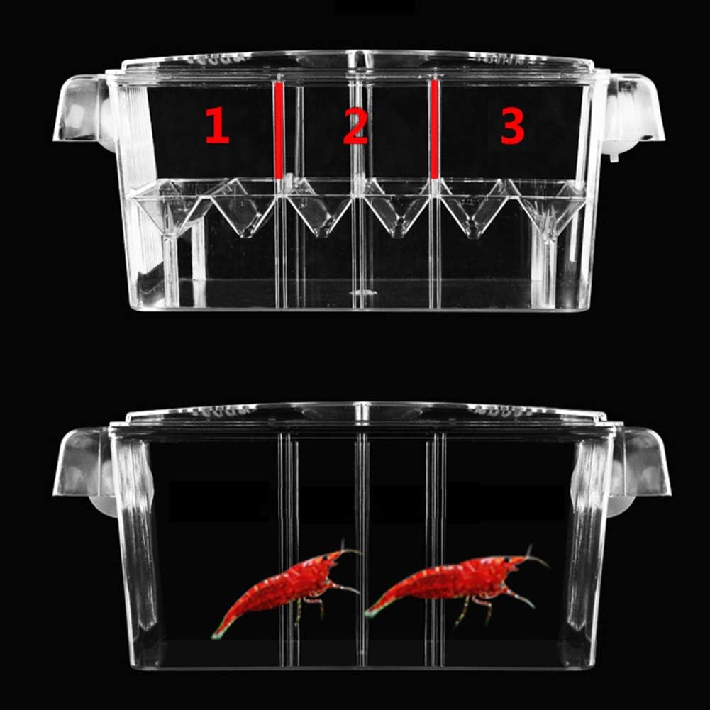 Large Multi-Chamber Holding & Breeding Box for Aquariums - Fish Hatchery with 3 Compartments, Floating Design, Clear Acrylic, Easy to Install - Ideal for Newborn Fry, Sick Fish, and Acclimation