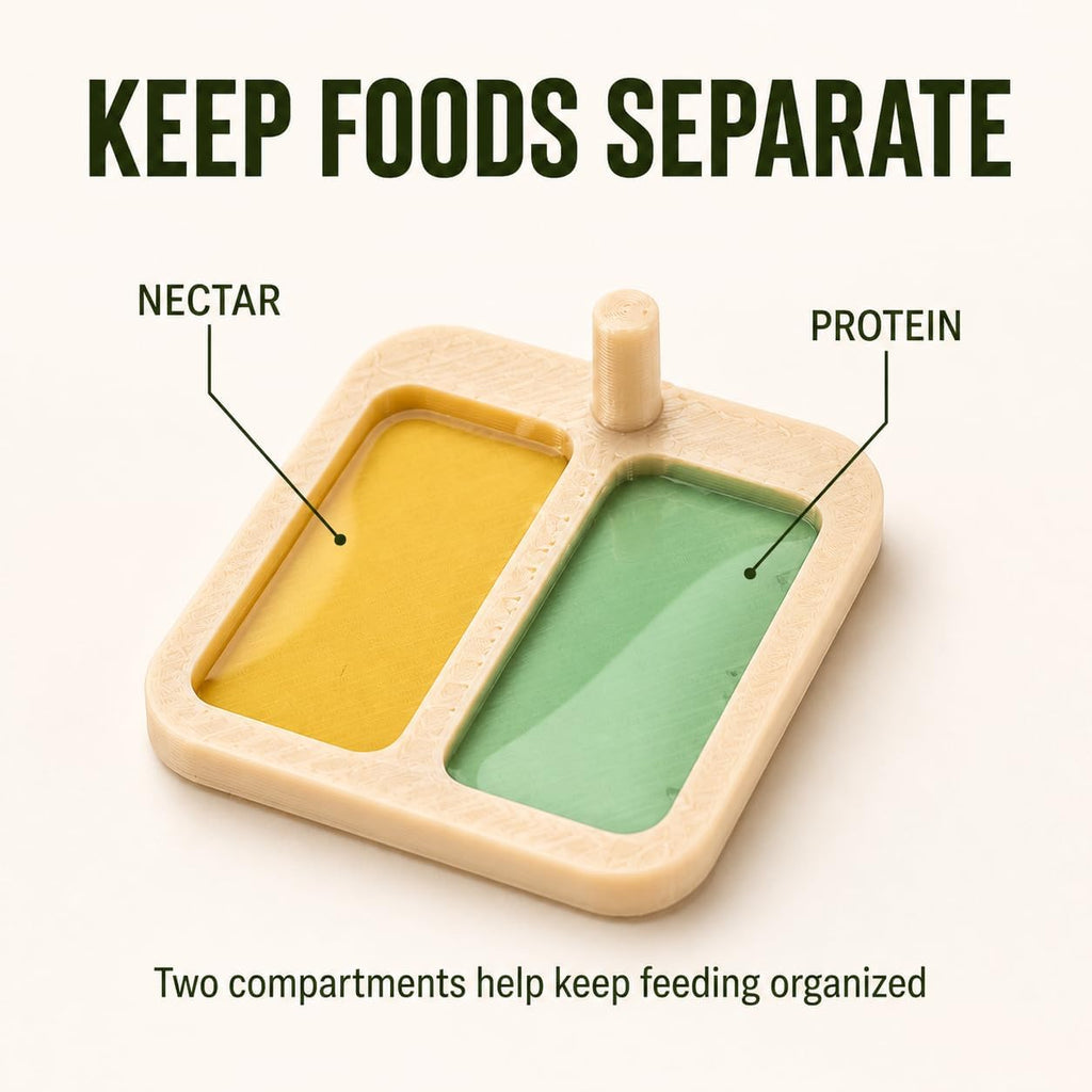 Miniature Liquid Feeder Tray for Ants, Small Reptile and Spider Feeding Dish, 20 Pack