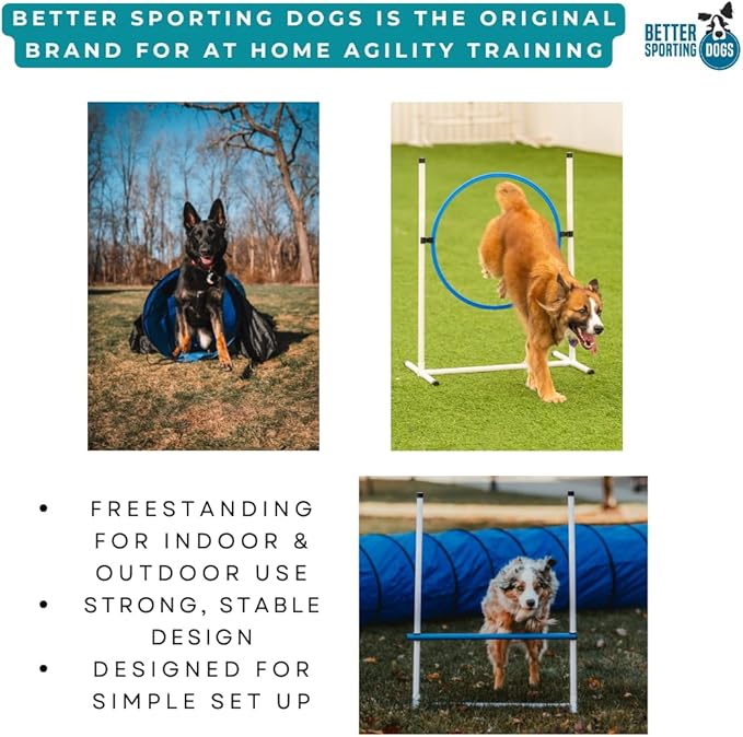 Better Sporting Dogs Complete Starter Agility Set - Image 9