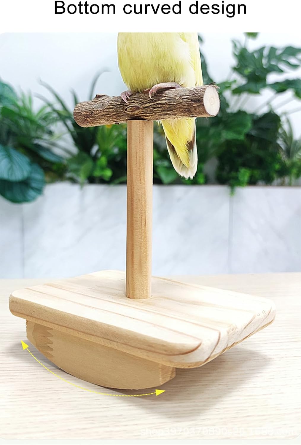 Bird Perch Stand Trainings, Prickly Ash Wood Parrot T Stand