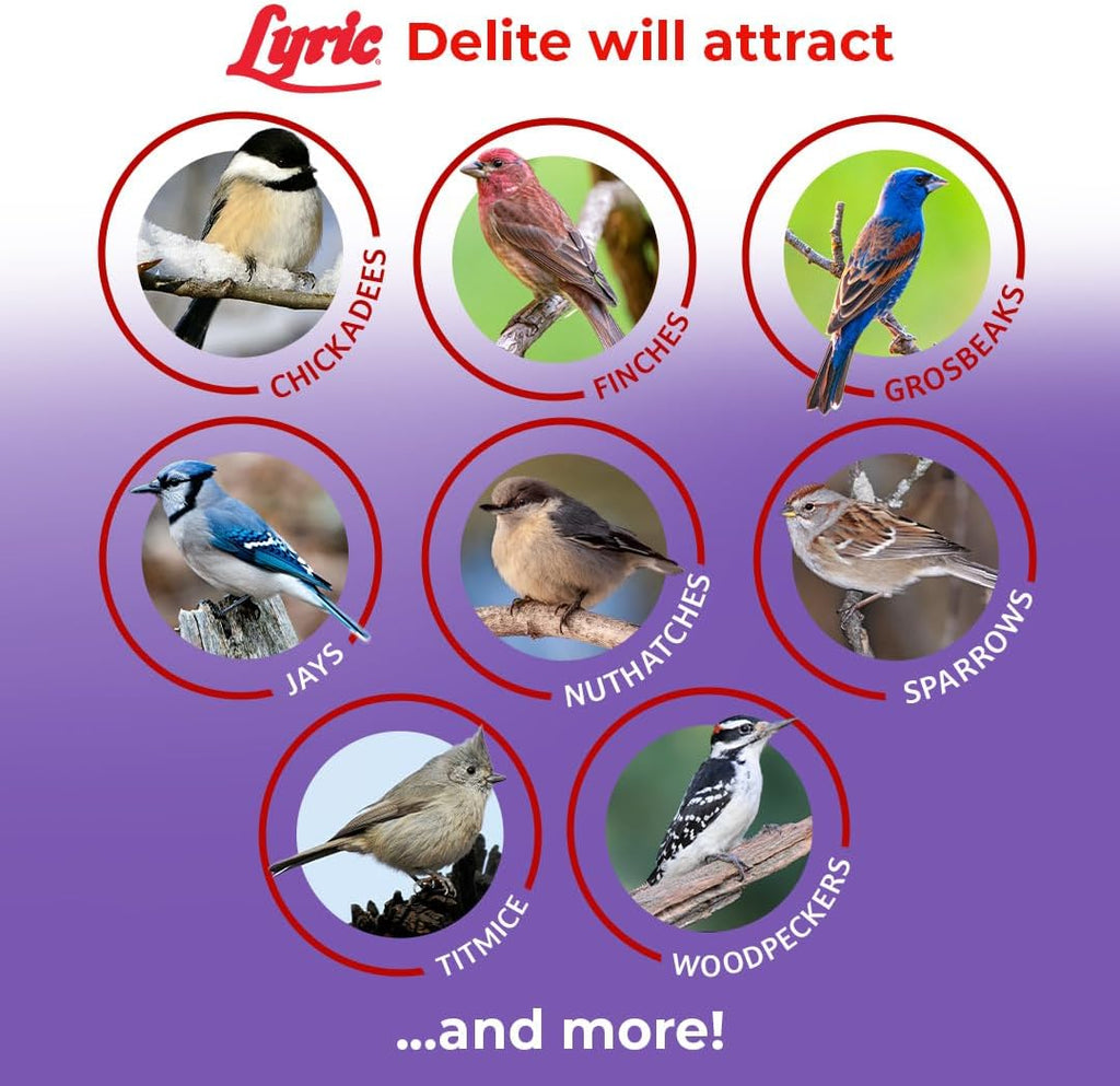Lyric Delite Wild Bird Seed Shell-Free No Waste Mix, Bird Food 5 lb. Bag