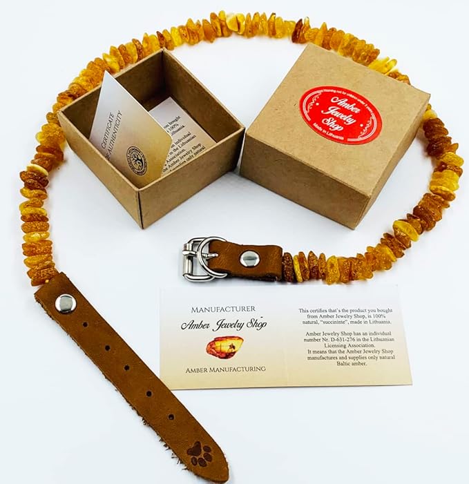 Amber Collars for Dogs & Cats - Image 5