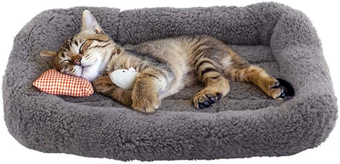 Enjoying Cat Mat Bed 10" x 15" Pet Bed - Image 4