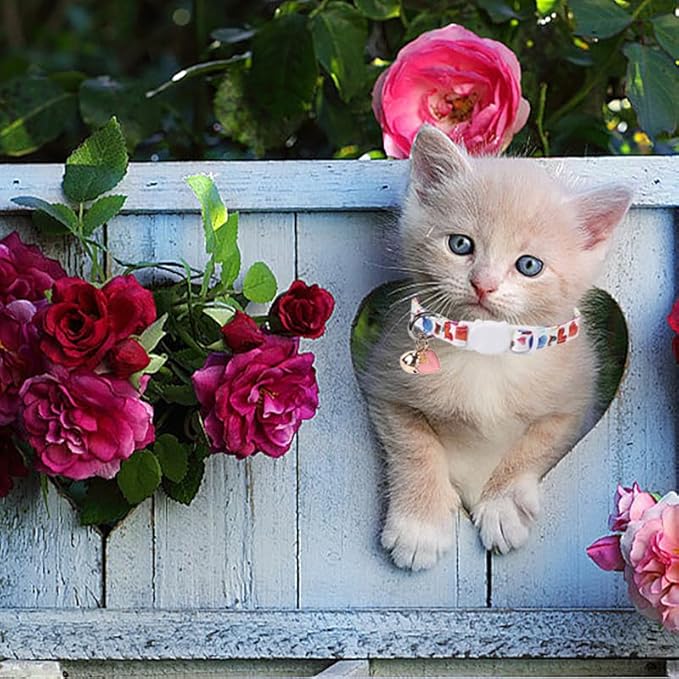 Lionet Paws 2pcs Pack Valentine's Day Cotton Cat Collar - Image 2
