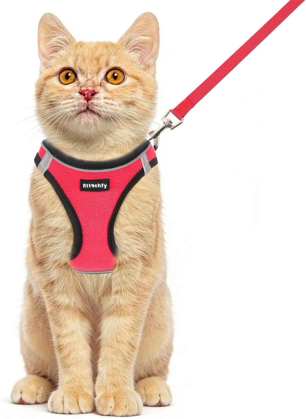 Rttochfy Cat Harness and Leash Set, Escape Proof Kitten Harness, Soft and Breathable Vest with Reflective Strip, Easy to Wear for Cats Walking and Traveling (Pink, S)