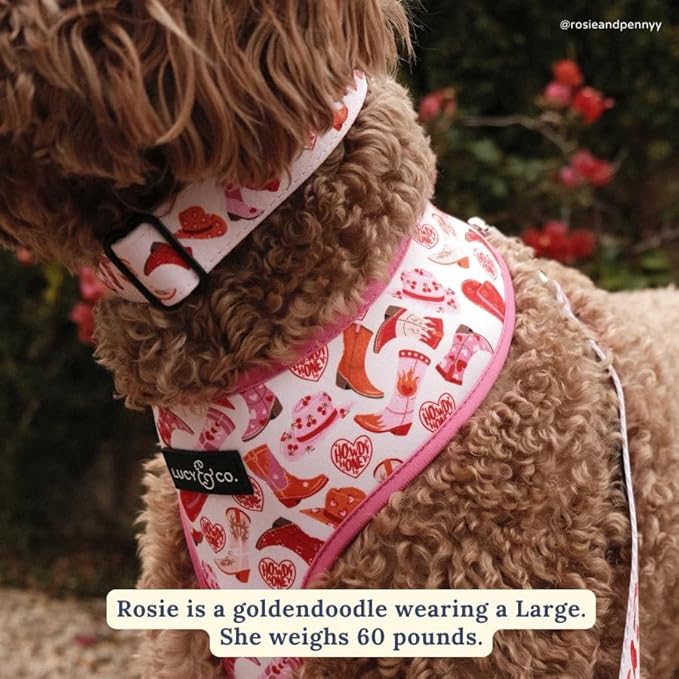 Lucy & Co Reversible Dog Harness | Soft and Padded - Image 2