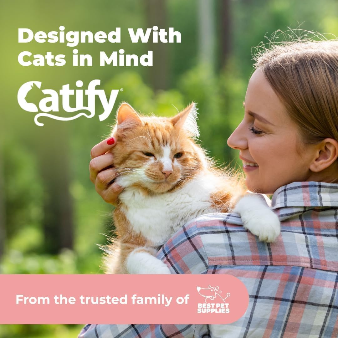 Catify Spin n' Scratch Interactive Cat Scratcher - Round