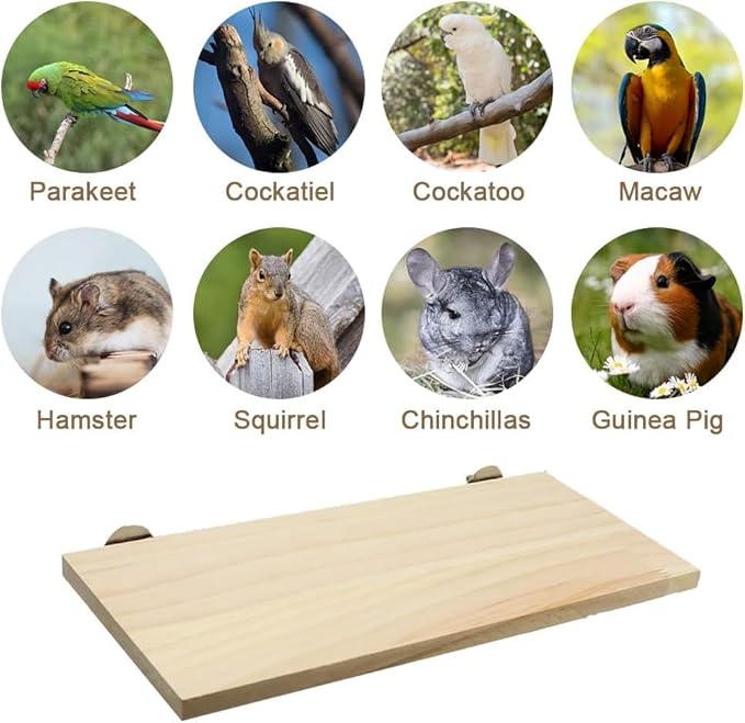 Litewoo Parrot Bird Wood Perch Platform Large Stand Shelf - Image 6