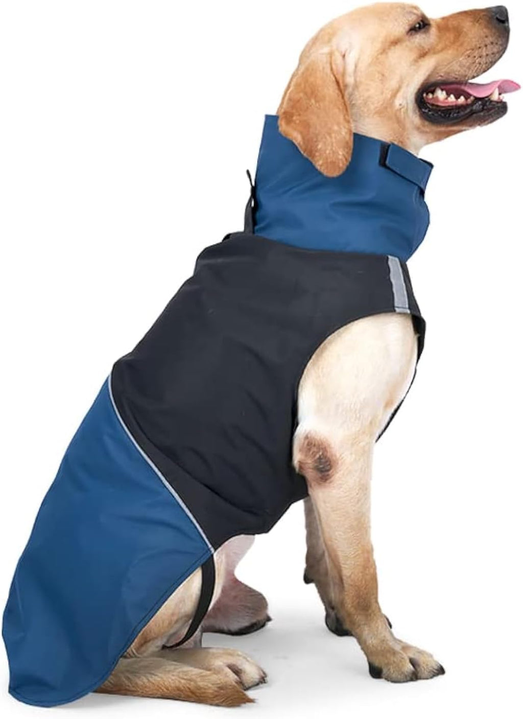 Dog Warm Coats - Windproof Dog Winter Outdoor Jackets Cold Weather Coats for Dog Waterproof Dog Raincoats with Hole for Dog Leash,BY L