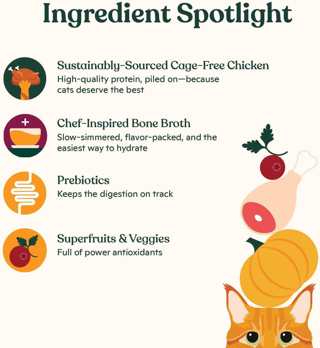 Made by Nacho Dry Cat Kibble 2lb Bag, High Protein and Grain-Friendly Premium Cat Food, Cage-Free Chicken & Pumpkin Recipe, Infused with Bone Broth for Hydration, Limited Ingredients, Single Bag