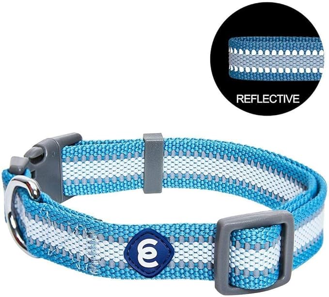Blueberry Pet Essentials Matching Small Dog Collar | Adjustable Classic Solid - Image 5
