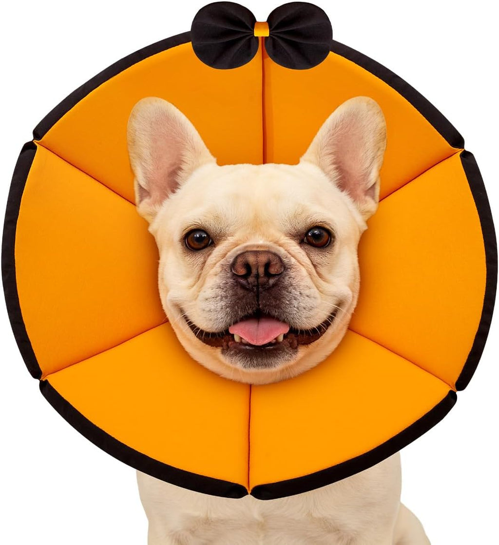 MAXFUT Soft Dog Cone Collar,Foam Cone for Dogs to Stop Licking After Surgery,Non Inflatable Dog Donut Cone (Light Blue, XS)