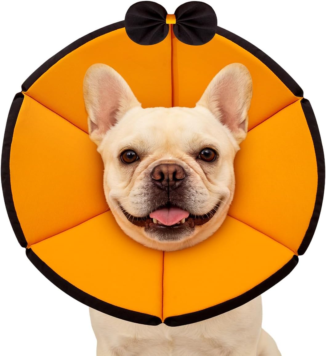 MAXFUT Soft Dog Cone Collar,Foam Cone for Dogs to Stop Licking After Surgery,Non Inflatable Dog Donut Cone (Light Blue, XS)