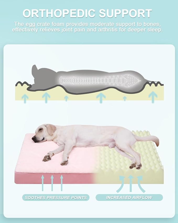 KSIIA Orthopedic Dog Bed - Image 2