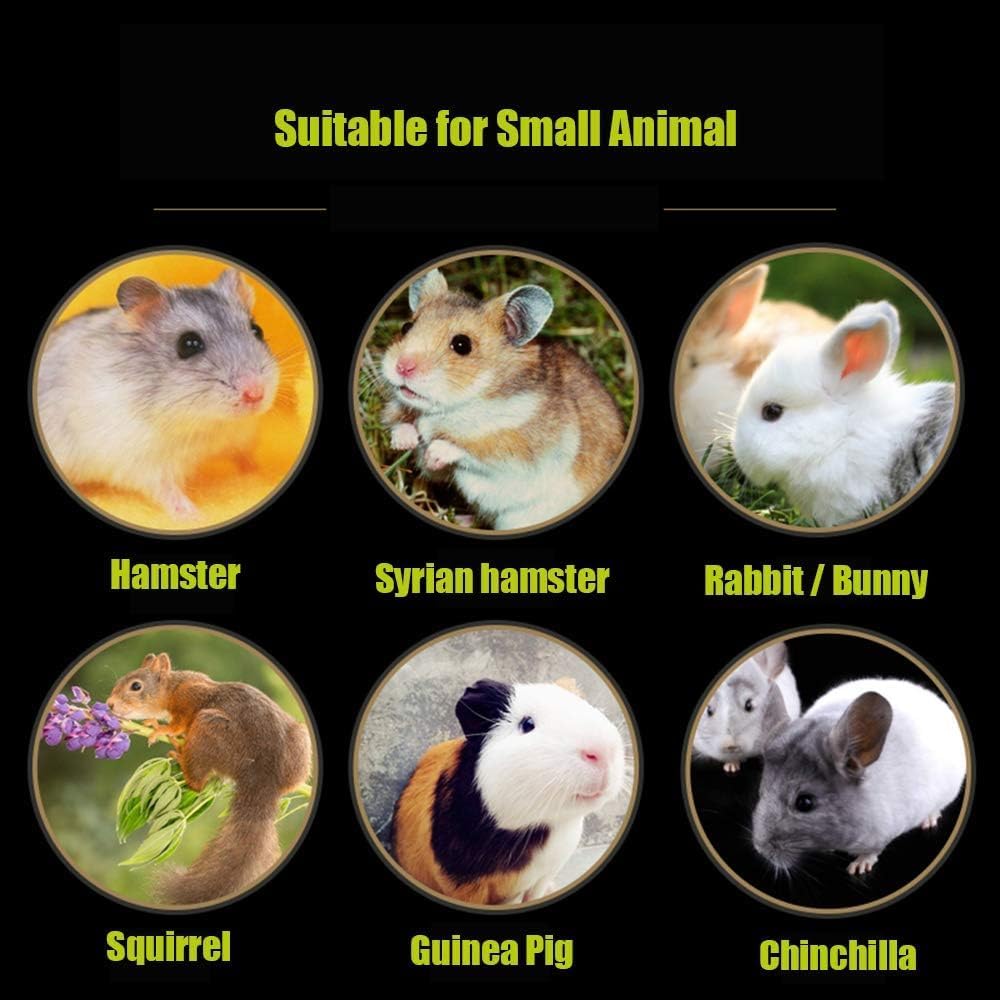 Hamster Chew Toy Lava Teeth Grinding Square Stone for Hamsters Chinchillas and Rabbits Mineral Stone Calcium Chew Toy for Small Animal(Pack of 10)