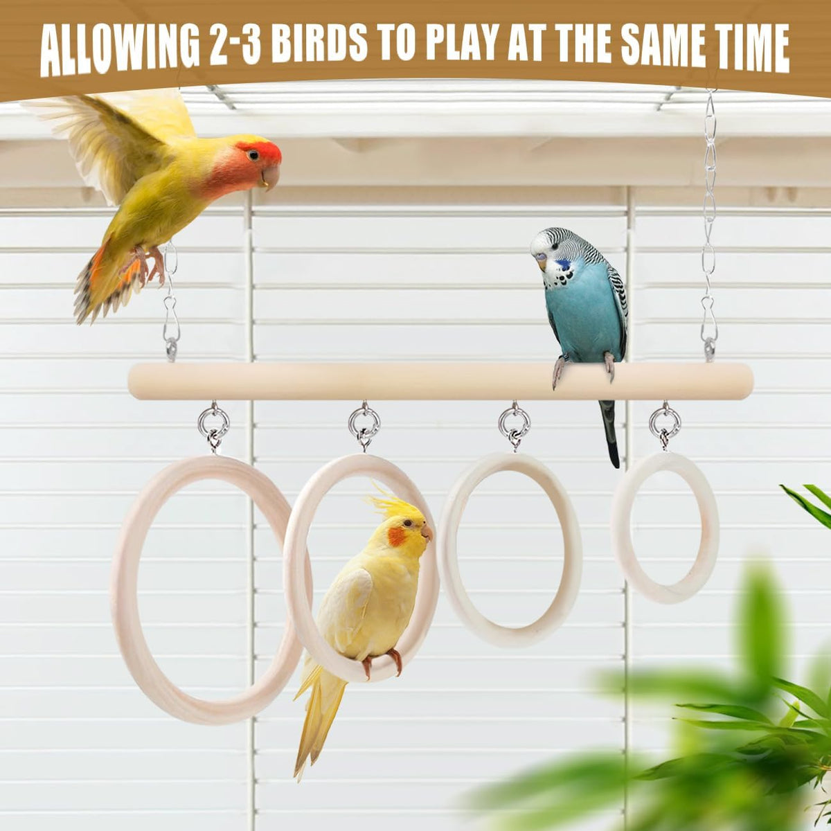 La La Pet Bird Swing Rings 4-Ring Perch Stand Wooden Parrot Playground Relieve Boredom Hanging Birdcage Accessories for Budgies Cockatiels Conures Parakeets Cockatoos