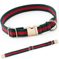 Premium Dog Collar, Cute Dog Collars Luxury Style, Durable Pet Collars by NISIYE