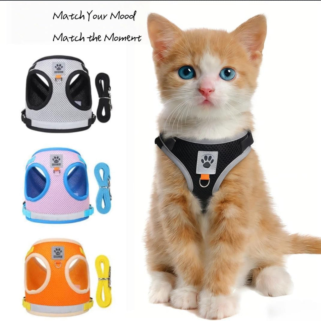 Pet Harness Vest with Leash for Small Medium Dogs Cats-No Pull Step-in Pet Vest Breathable Soft Lightweight Harness and Leash Set for Puppy Kitty Bunny-Black-L