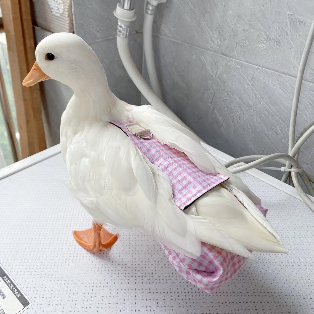 Duck Diapers, Chicken Diapers, Special Diapers for Poultry, Chicken, Duck and Goose Waterproof, Adjustable, Washable and Reusable Diapers，Poultry Supplies, Duck Supplies (4.41LB-6.06LB)
