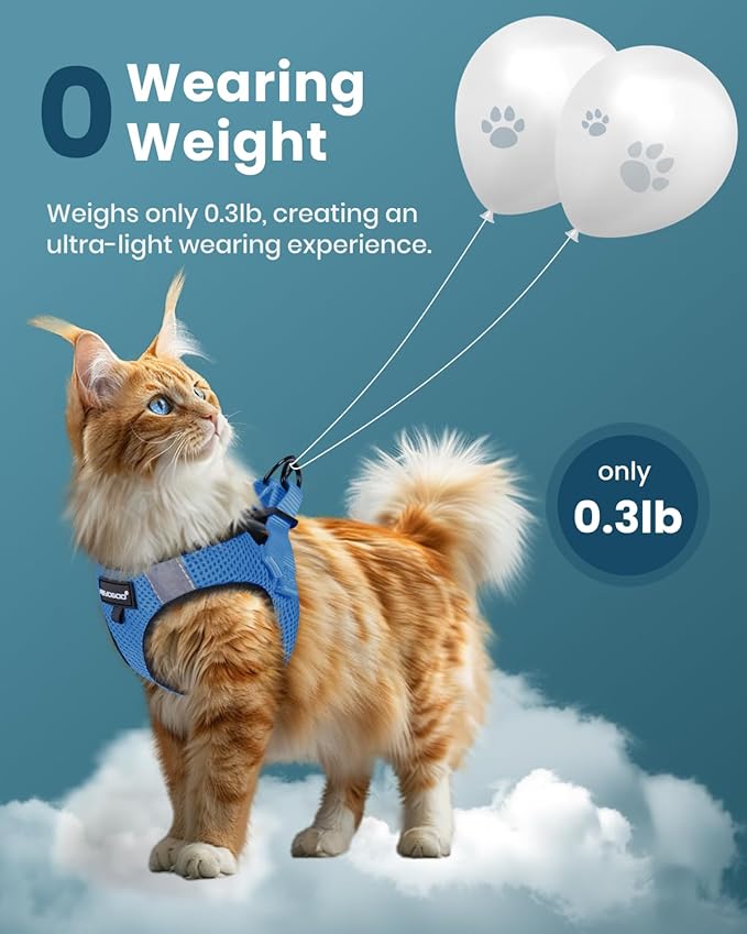 FAYOGOO Cat Harness and Leash Set | Upgrade Step-in Escape Proof Harness | - Image 4