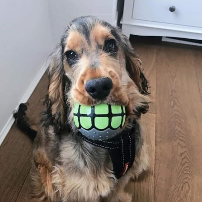 Dog Balls Toys Squeaky Fetch - Image 5