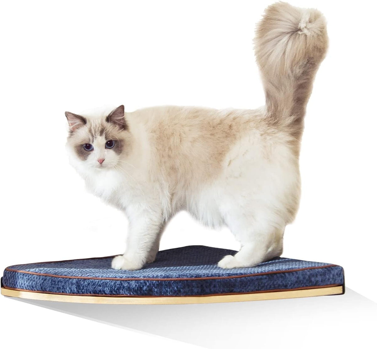 LIORCE Wall Mounted Corner Cat Bed - Cat Shelf with Comfortable Cushion - Minimalistic Cats Furniture for Indoor Cats - Climbing Perch for Wall, Walnut
