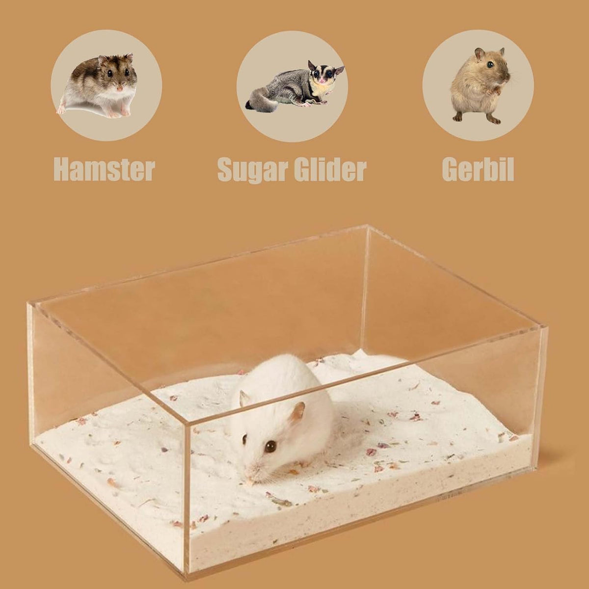 Transparent Pentagon Hamster Sand Bath Box for Hamster Cage Accessories, Digging Sand Container with Climbing Ladder, Large Sandbox for Hamsters Dust Bath and Play Sand，Large