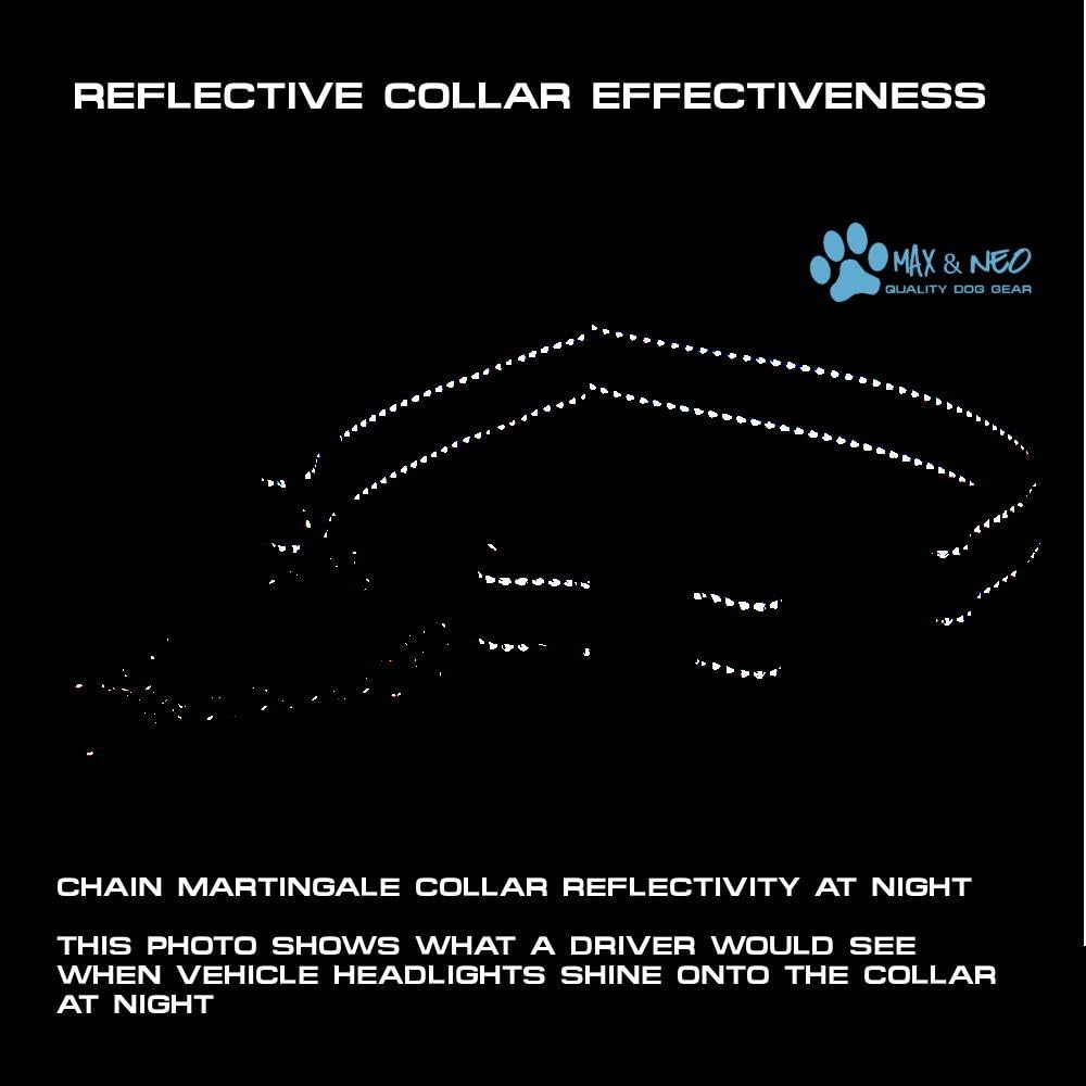 Max and Neo Stainless Steel Chain Martingale Collar - We Donate to a Dog Rescue for Every Collar Sold (Medium, Orange)