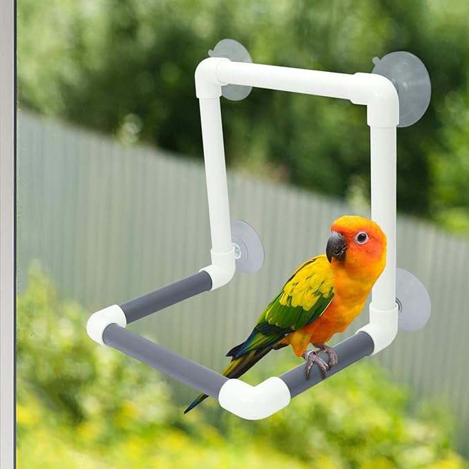 Bird Portable Suction Cup Shower Perch Parrot Window Wall Standing Platform - Image 2