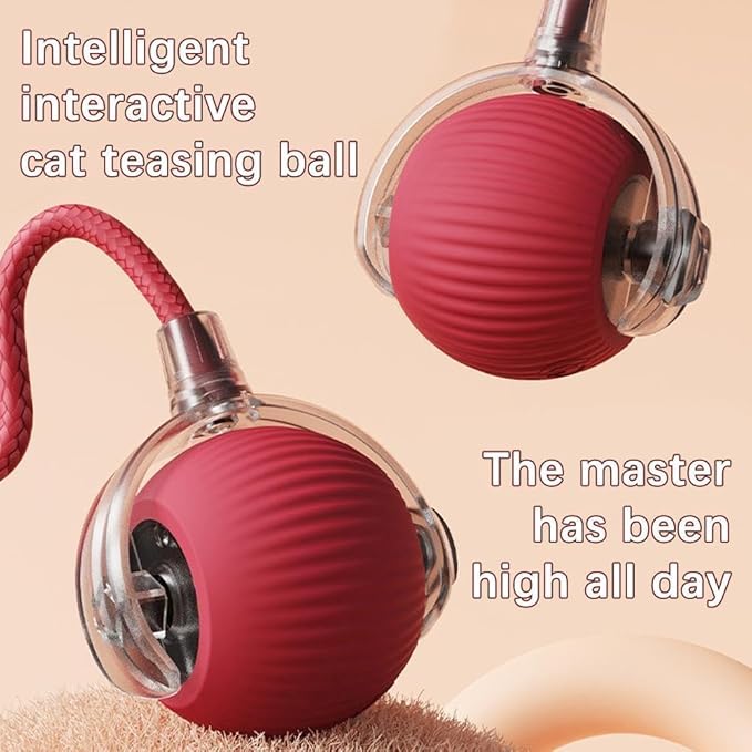 Interactive Cat Toy, Electric Dog BallToy, Cat Toys - Image 4