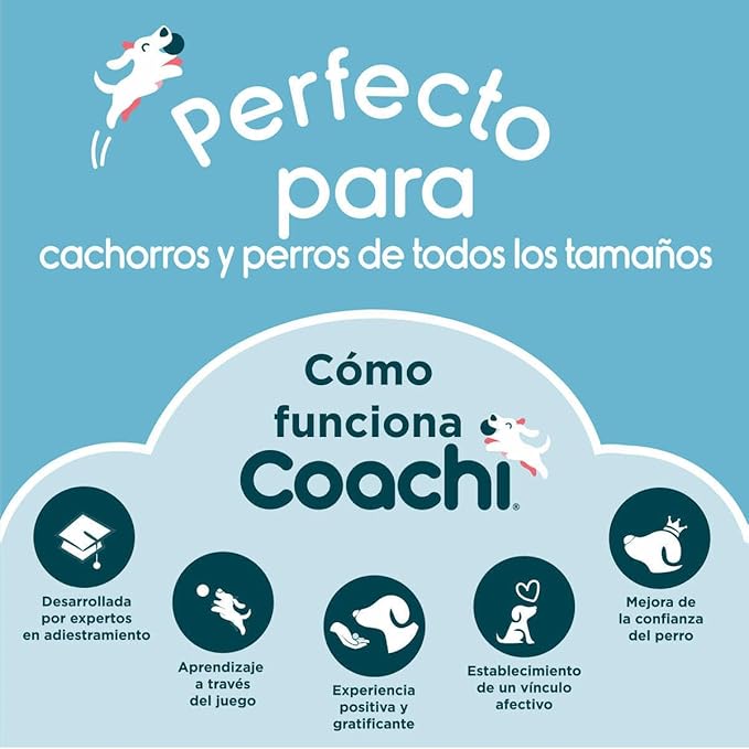 Company of Animals Coachi Target Stick, Telescopic Design - Image 3