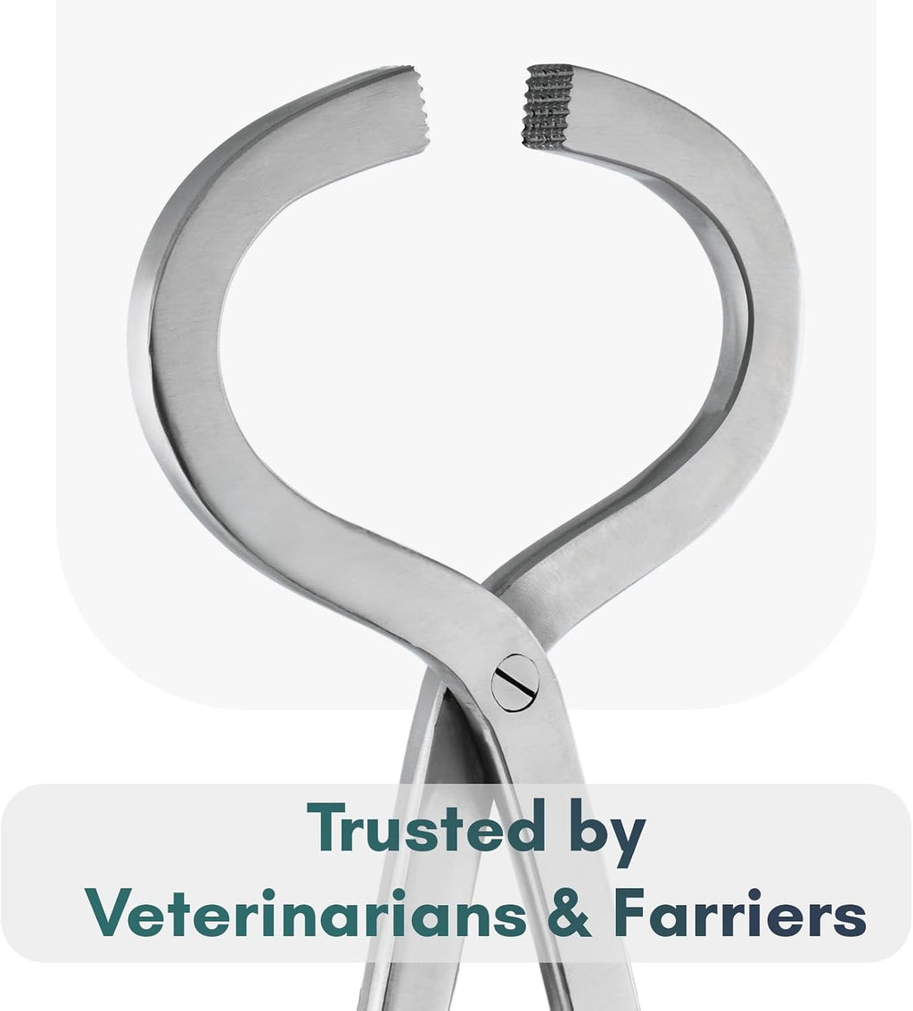 – Professional Hoof Tester 13” | Veterinary & Farrier Equine Hoof Care Tool | Stainless Steel, Corrosion-Resistant, Autoclavable, Durable for Horse Hoof Exams (Silver)