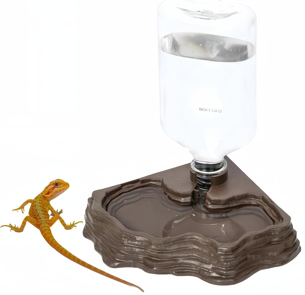 Lizard Bearded Dragon Water Bowl Dish Automatic Dispenser,17oz,Black