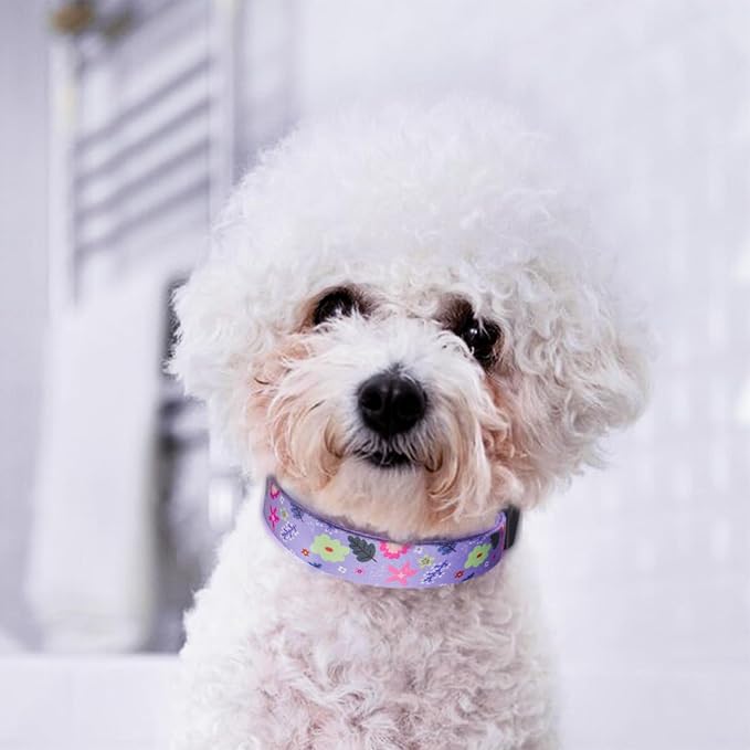 QQPETS Adjustable Soft Dog Collar: Print Flower Pink Multicolor Cute Patterns - Image 2
