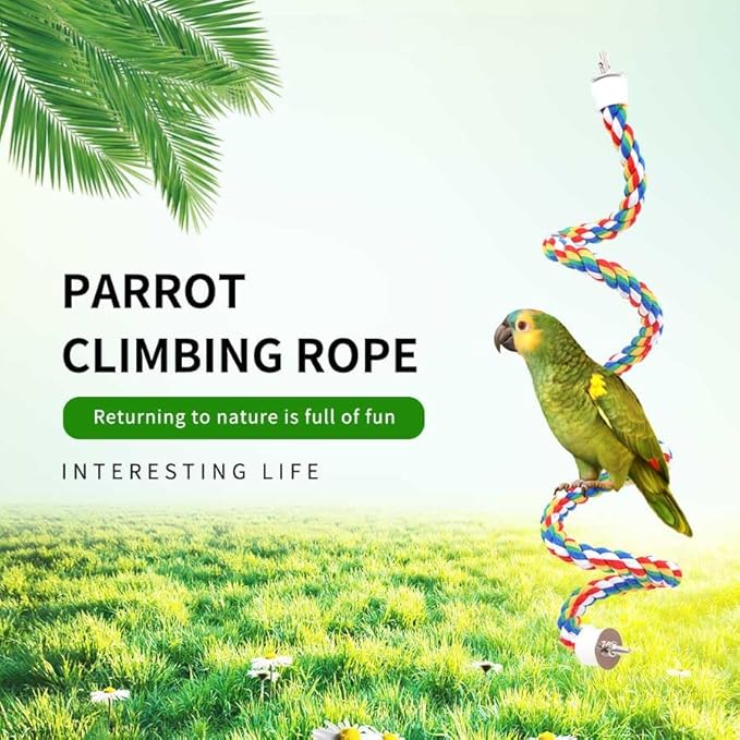 Bird Perch, Bird Rope Perch & Rope Perch, Bird Perches - Image 7