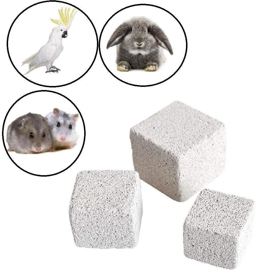 Hamster Chew Toy Lava Teeth Grinding Square Stone for Hamsters Chinchillas and Rabbits Mineral Stone Calcium Chew Toy for Small Animal(Pack of 10)