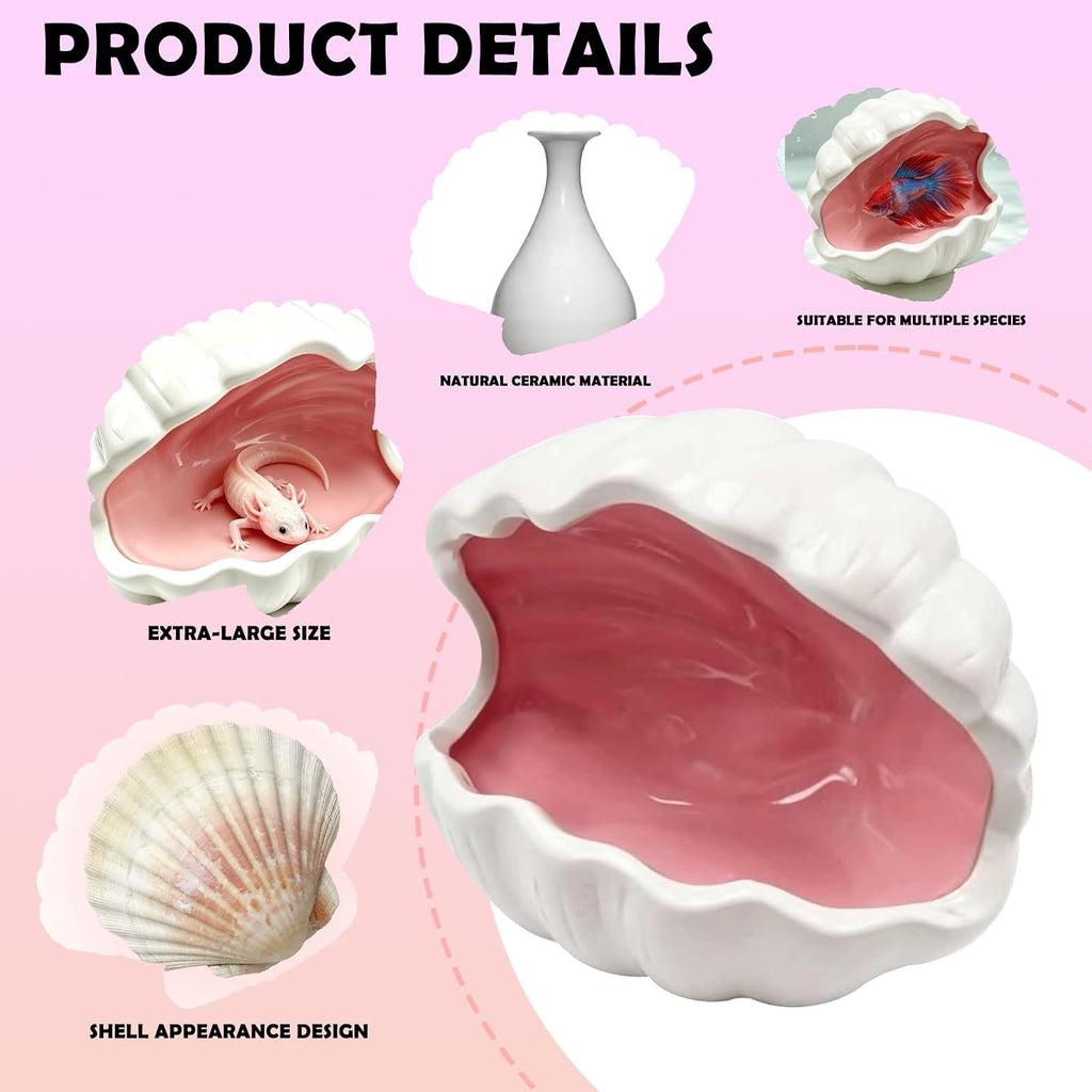 Axolotl Hide Ceramic Shell Shape Fish Tank Cave Set