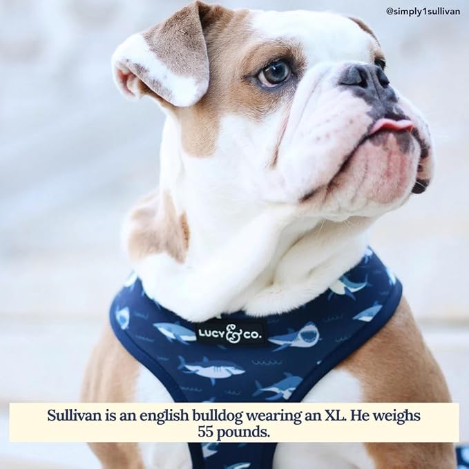Lucy & Co. Reversible Dog Harness Walking Halter - Image 5