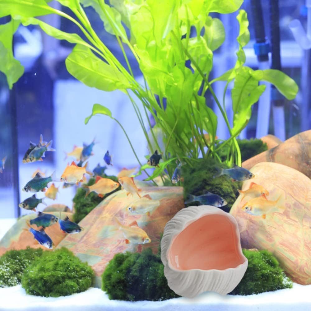 RUIAN Ceramic Conch Shell Aquarium Hideout Cave Pink Betta Fish Tank Decor